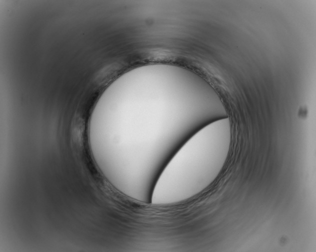 X0000102770550200808180957