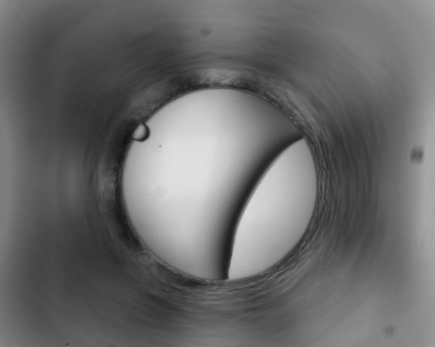 X0000102770551200808180957
