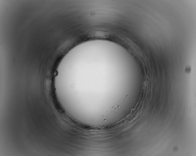 X0000102770552200808180957