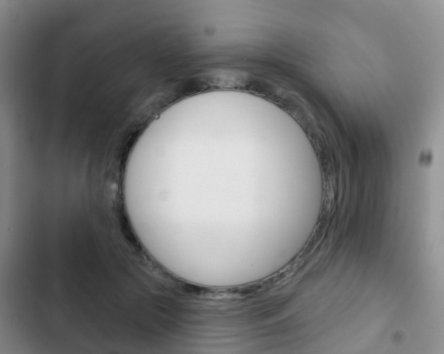 X0000102770553200808180957