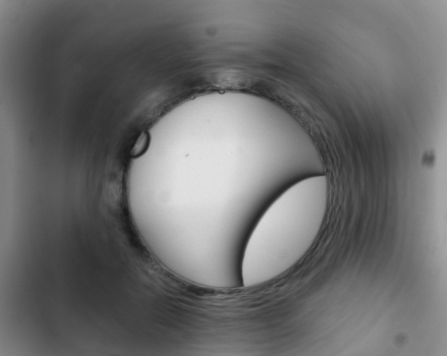X0000102770554200808180957