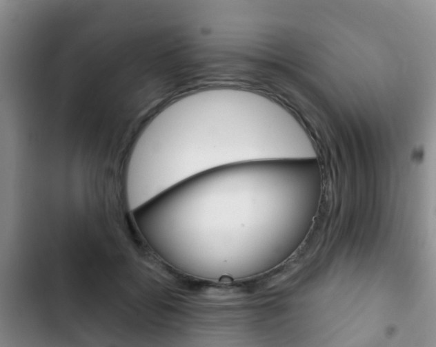 X0000102770556200808180957