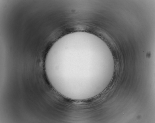 X0000102770557200808180957