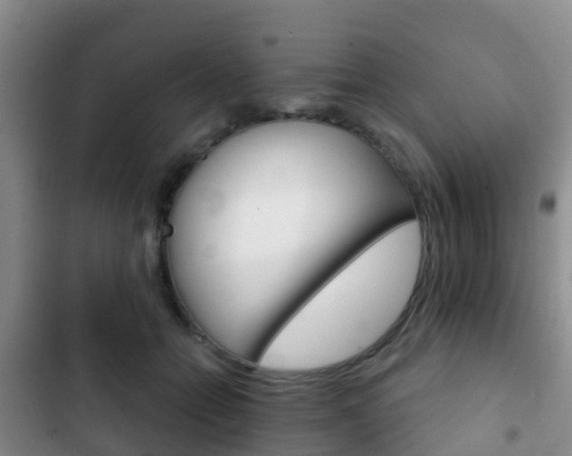 X0000102770558200808180957