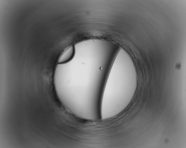 X0000102770559200808180957