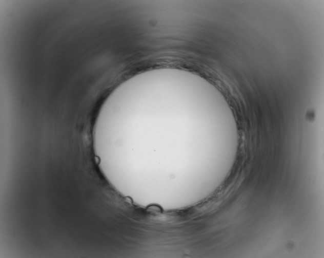 X0000102770561200808180957