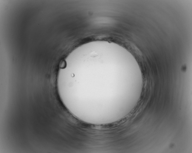 X0000102770565200808180958