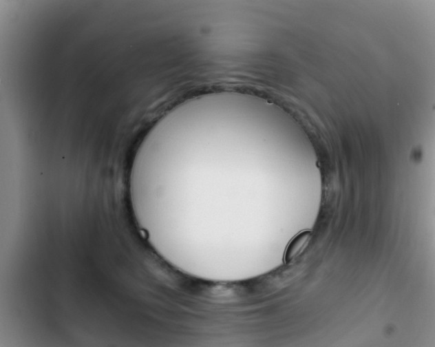 X0000102770566200808180958