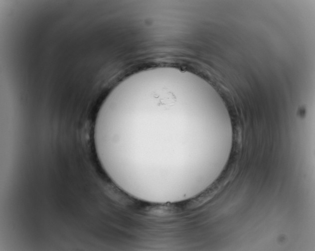 X0000102770567200808180958