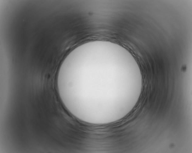 X0000102770568200808180958