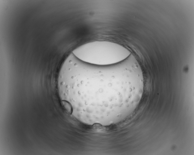 X0000102770569200808180958