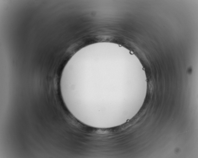 X0000102770570200808180958