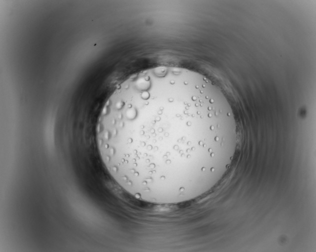 X0000102770573200808180958
