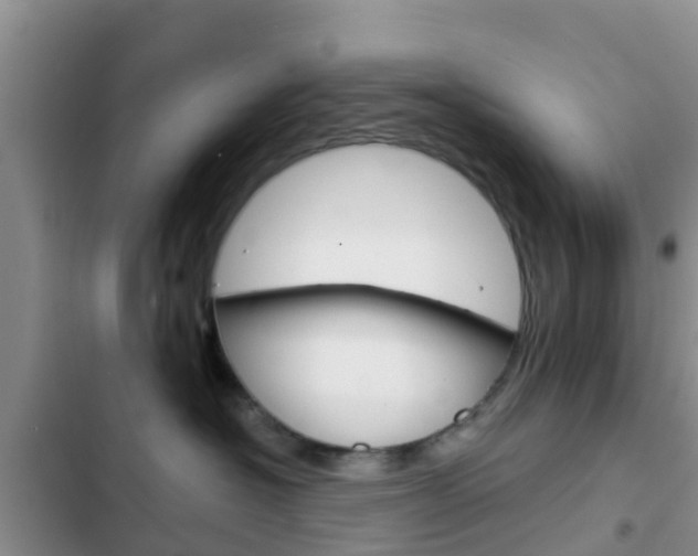 X0000102770574200808180958