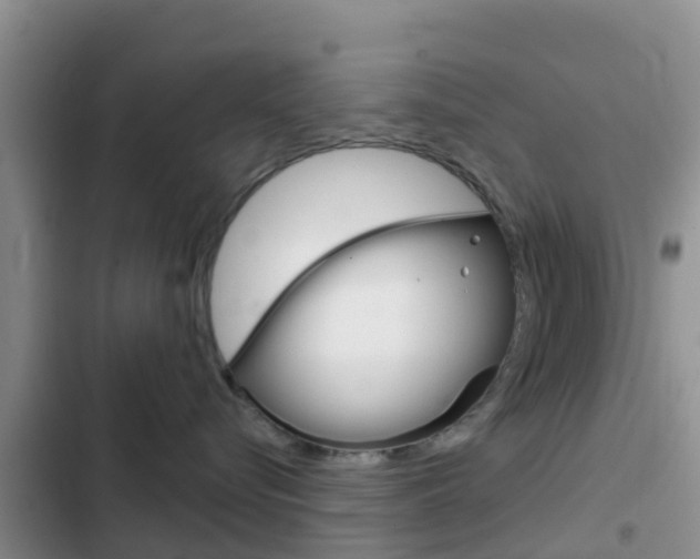 X0000102770576200808180958