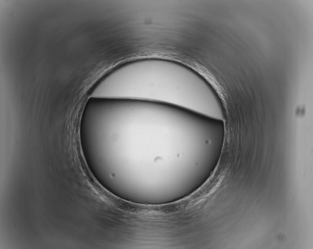 X0000102770577200808180957