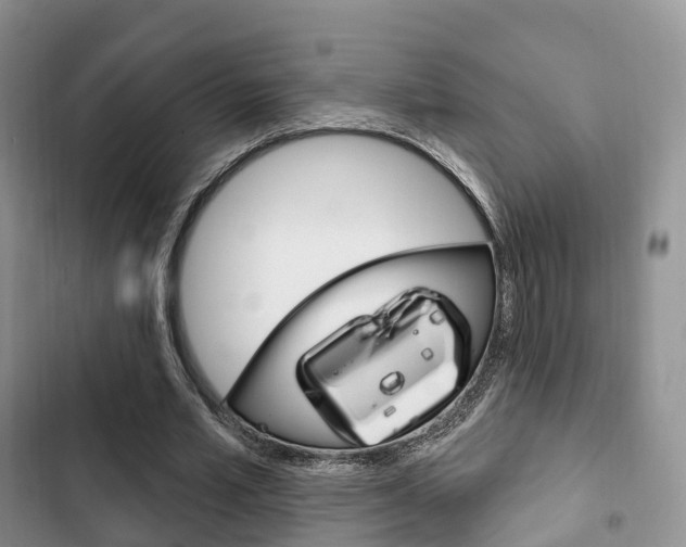 X0000102770581200808180957