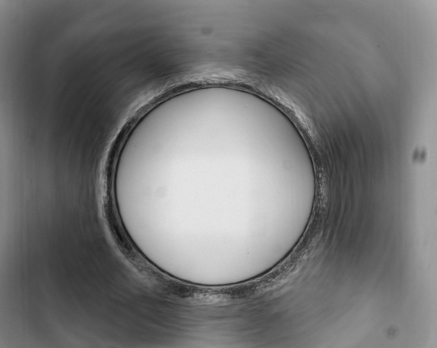 X0000102770582200808180957