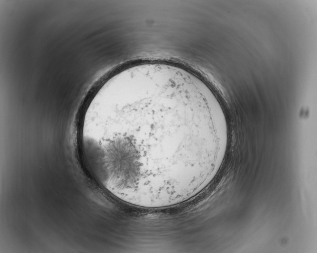 X0000102770584200808180957
