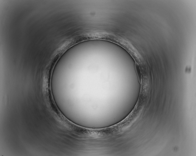 X0000102770585200808180957