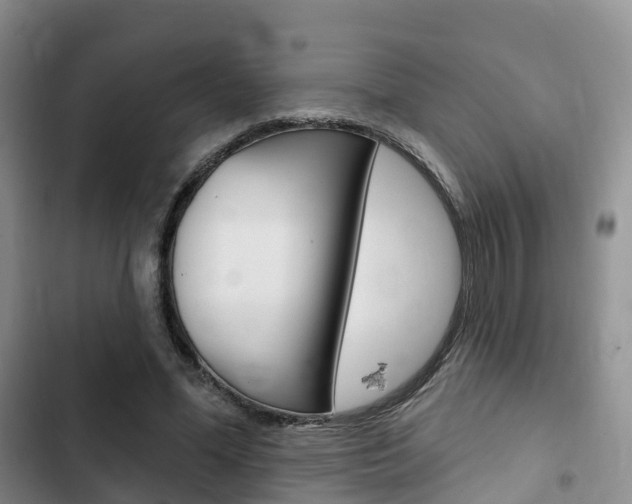 X0000102770588200808180957