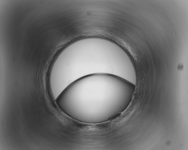X0000102770589200808180957