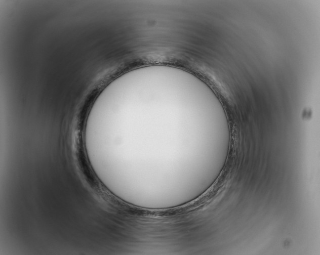 X0000102770590200808180957
