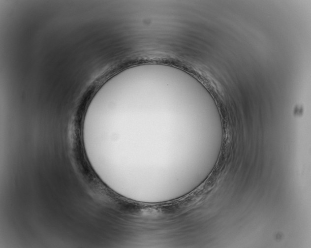 X0000102770591200808180957