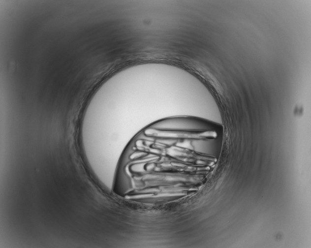 X0000102770593200808180957