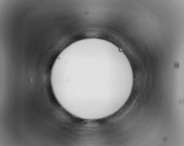 X0000102770601200808180957