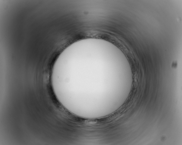 X0000102770602200808180957