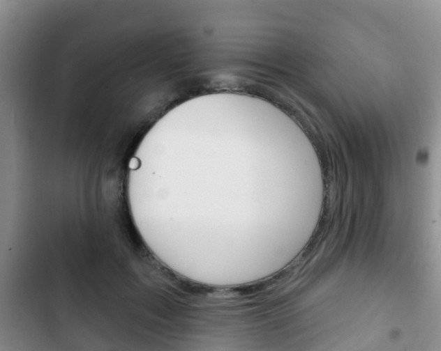 X0000102770603200808180957