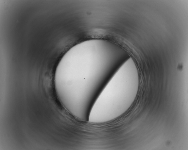 X0000102770604200808180957