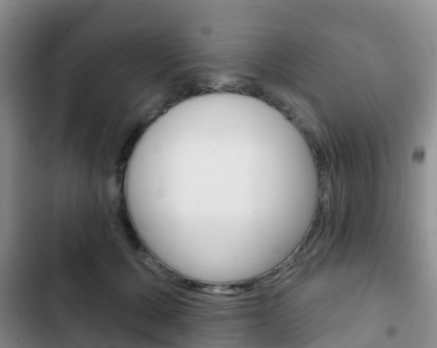 X0000102770607200808180957