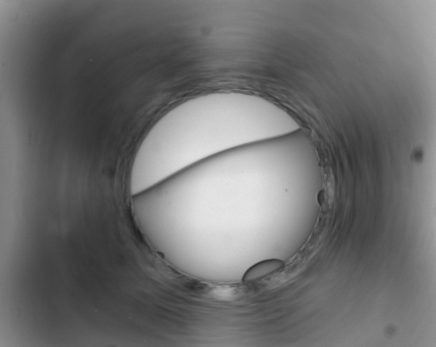 X0000102770611200808180957