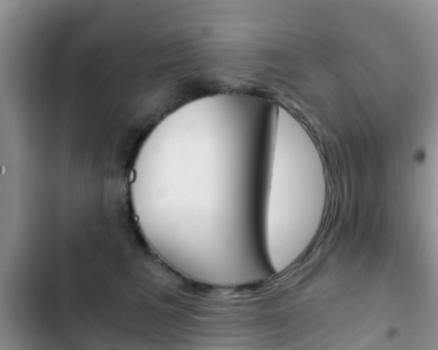 X0000102770613200808180957