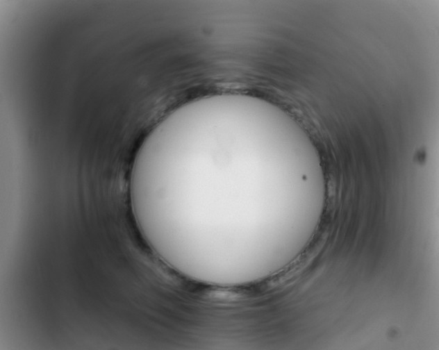 X0000102770614200808180957