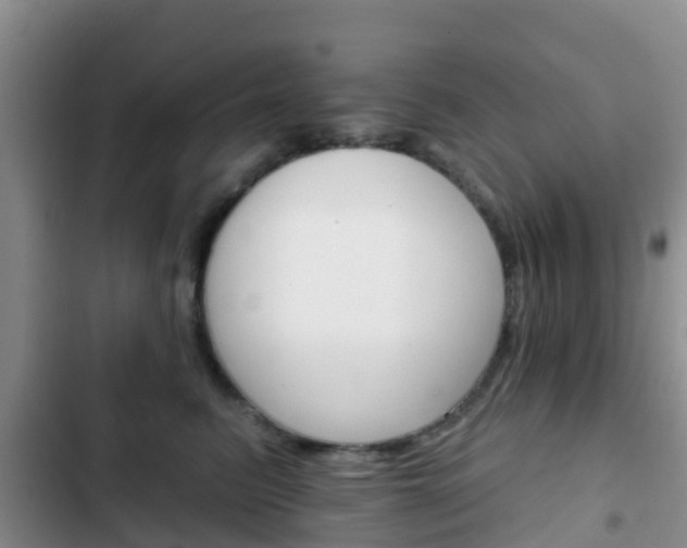 X0000102770615200808180956