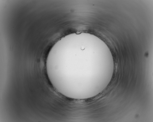X0000102770618200808180956