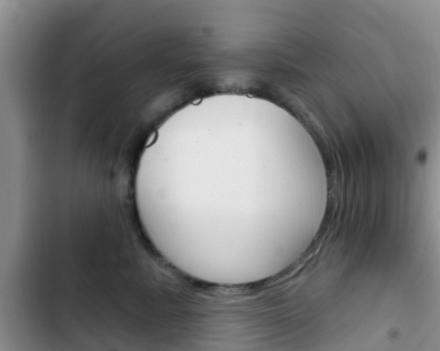 X0000102770619200808180956