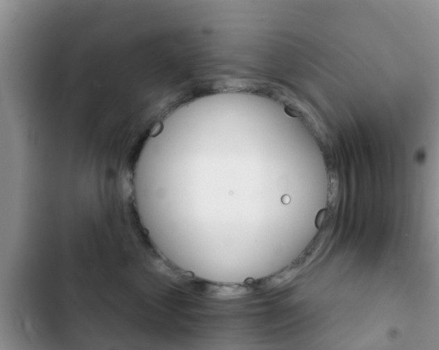 X0000102770621200808180956