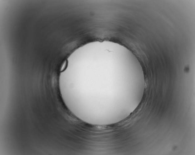 X0000102770623200808180956