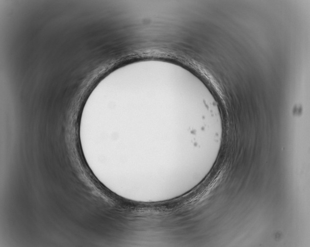 X0000102770625200808180956
