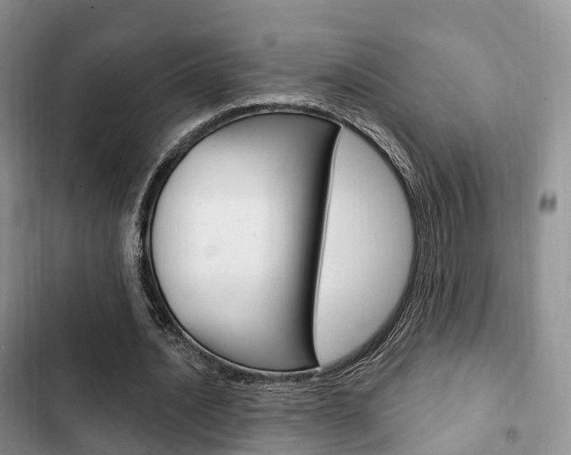 X0000102770628200808180956