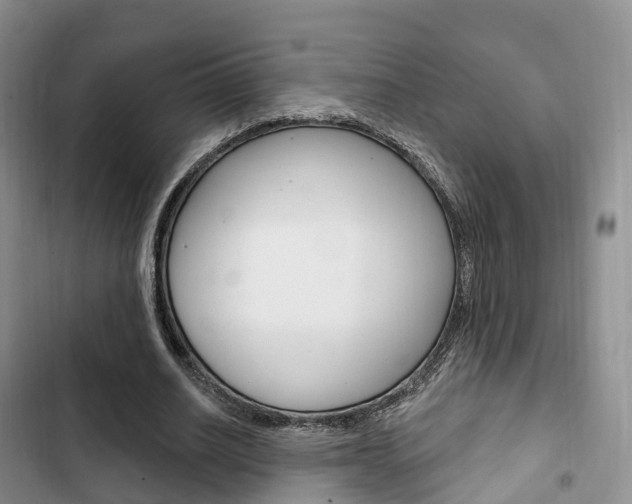 X0000102770630200808180956