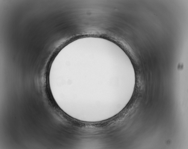 X0000102770632200808180956