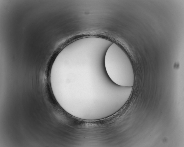 X0000102770636200808180956