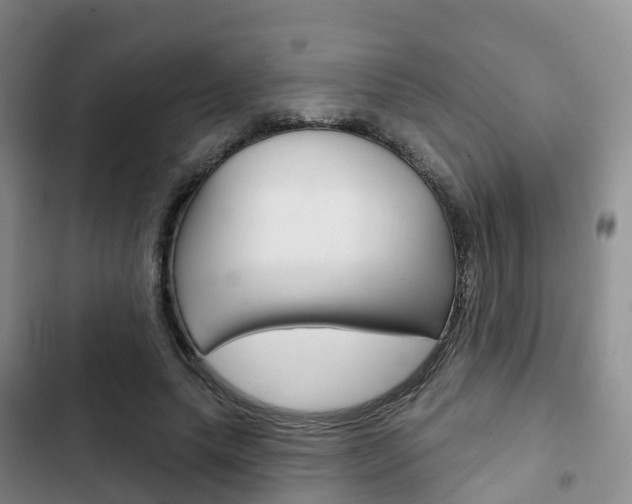 X0000102770639200808180956