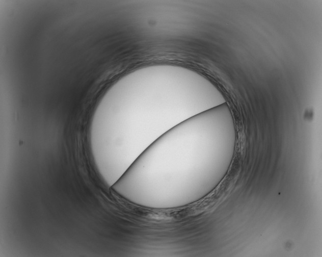 X0000102770644200808180956