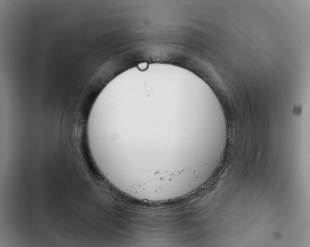 X0000102770645200808180956
